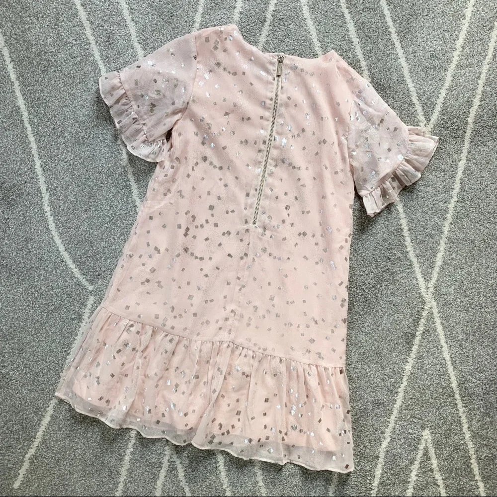 Imoga Blush Pink and Silver Chiffon Dress 10G